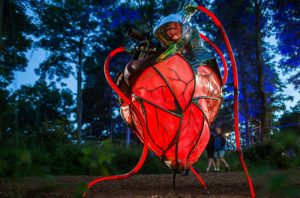 heart of the forest by studio meno