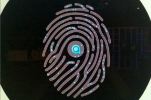 Digital Fingerprint by Studio Meno